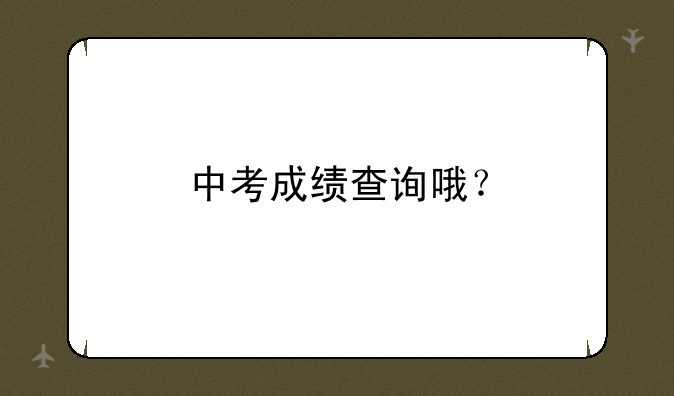 中考成绩查询哦？