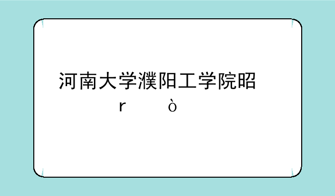 河南大学濮阳工学院是几本？