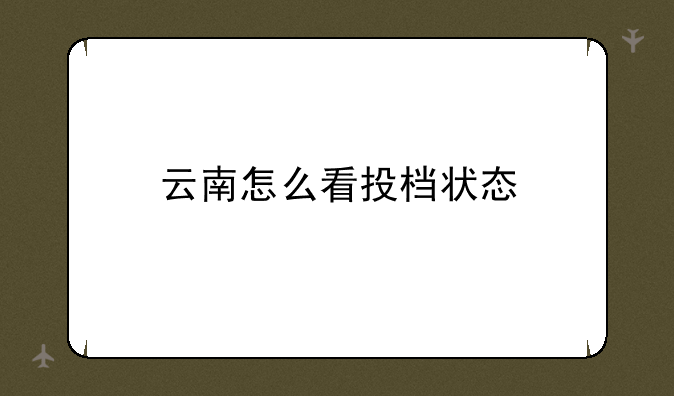 云南怎么看投档状态