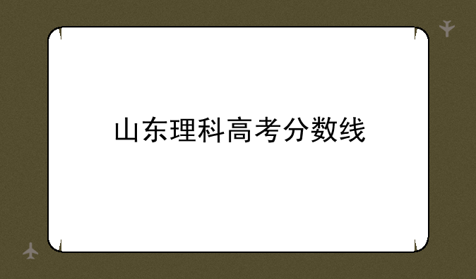 山东理科高考分数线
