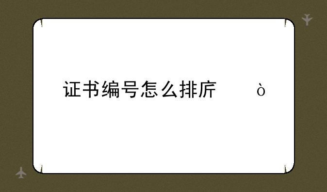 证书编号怎么排序？