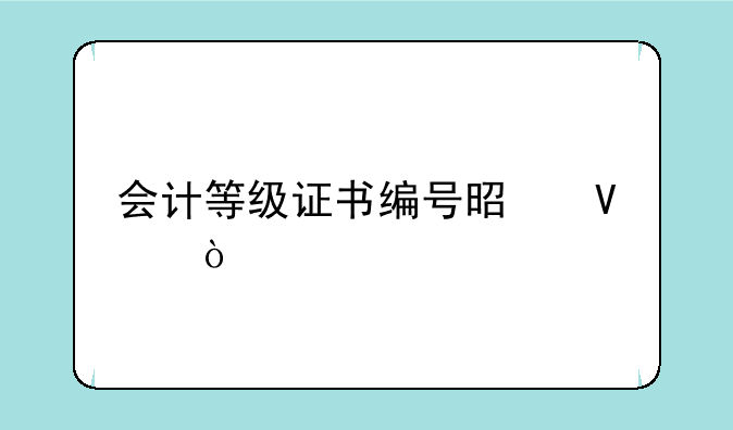 会计等级证书编号是啥？