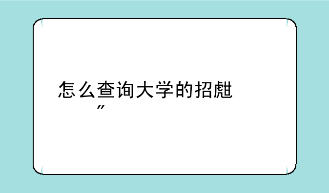 怎么查询大学的招生计划