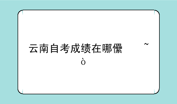 云南自考成绩在哪儿查询？
