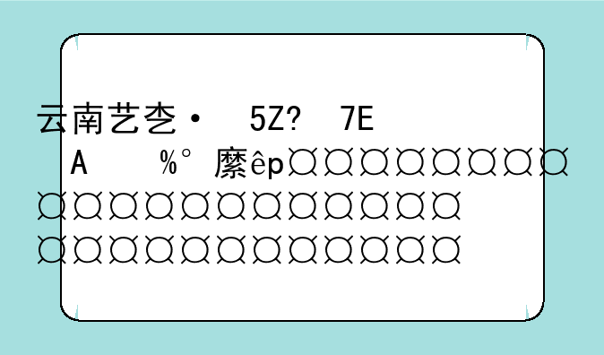 云南艺术学院分数线——云南艺术学院分数线2024