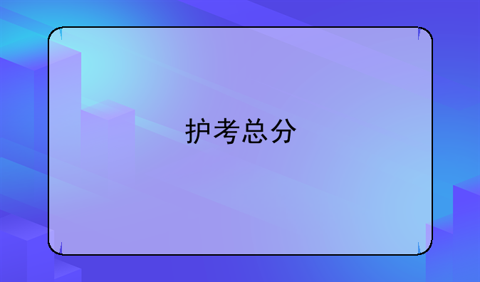 护考总分